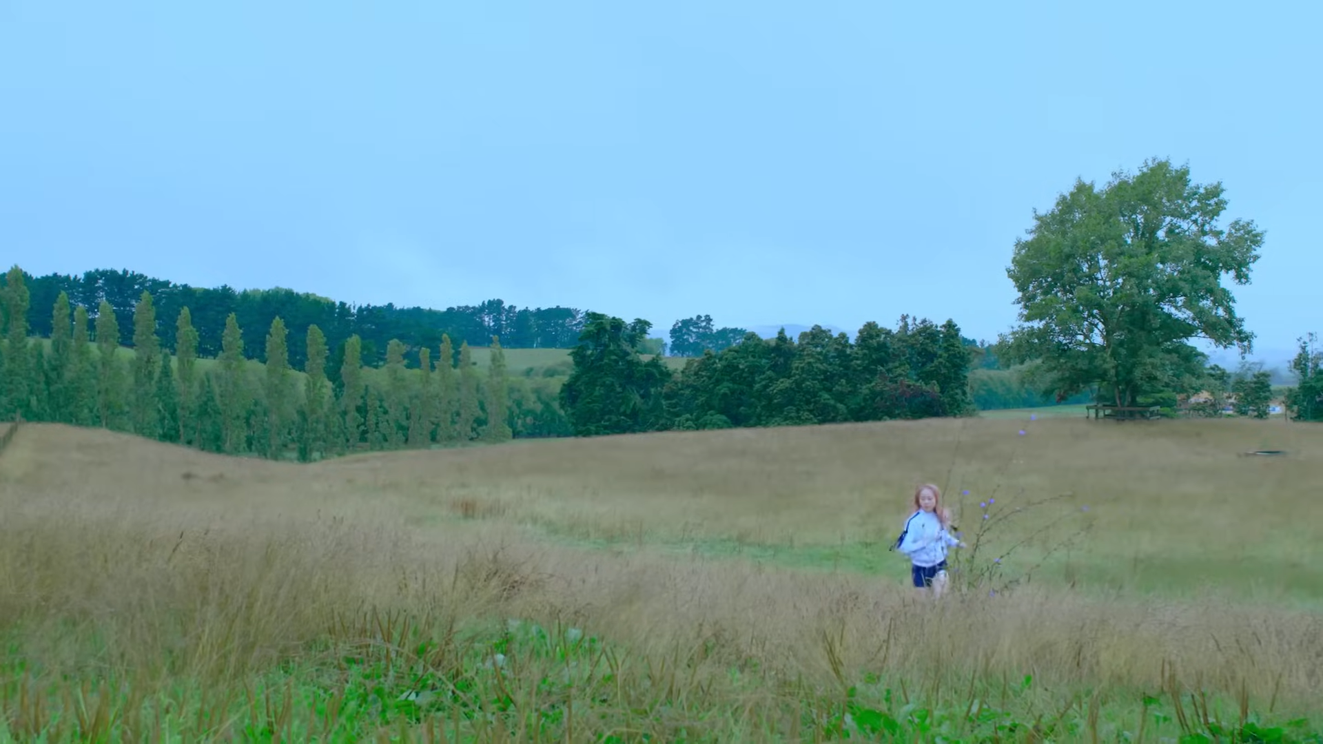 Vivi running through a field.